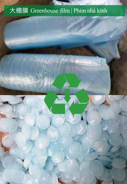 Sản xuất hạt nhựa từ phim nhà kính